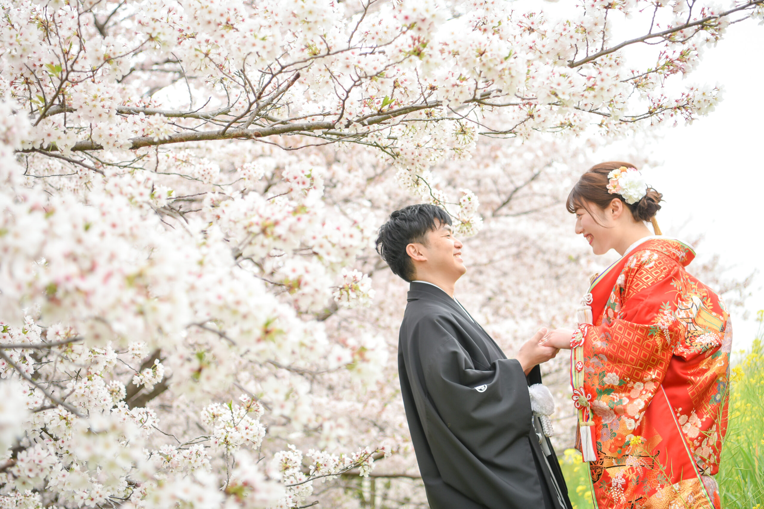 熊谷　桜フォト　桜堤　ウェディングフォト　結婚写真