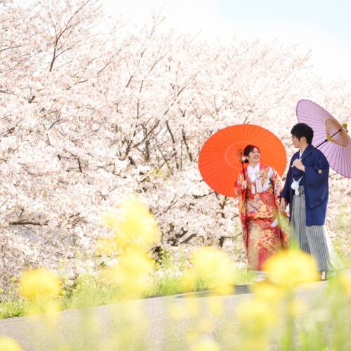 桜 和装フォト ロケーション撮影 記念日