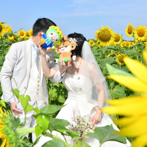 https://photo-felicita.com/wp/wp-content/uploads/2026/08/wedding-22-500x500.jpg