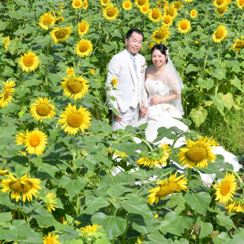 https://photo-felicita.com/wp/wp-content/uploads/2026/08/wedding-26-500x500.jpg
